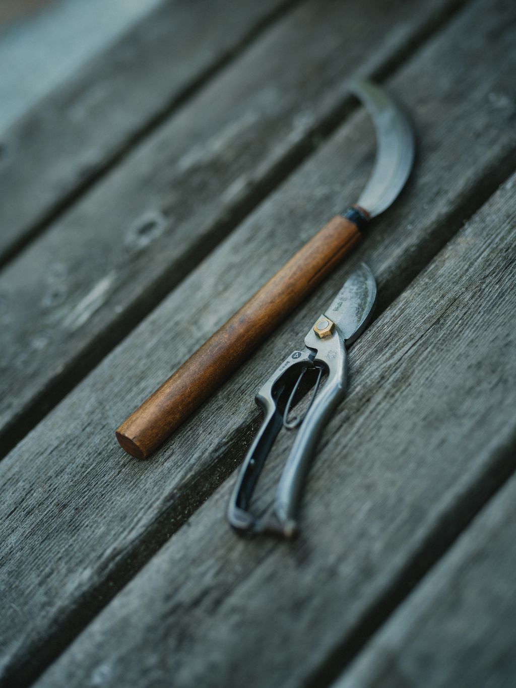 Vintage pruning shears with wooden handle rest on weathered gray wooden boards alongside a metal tool