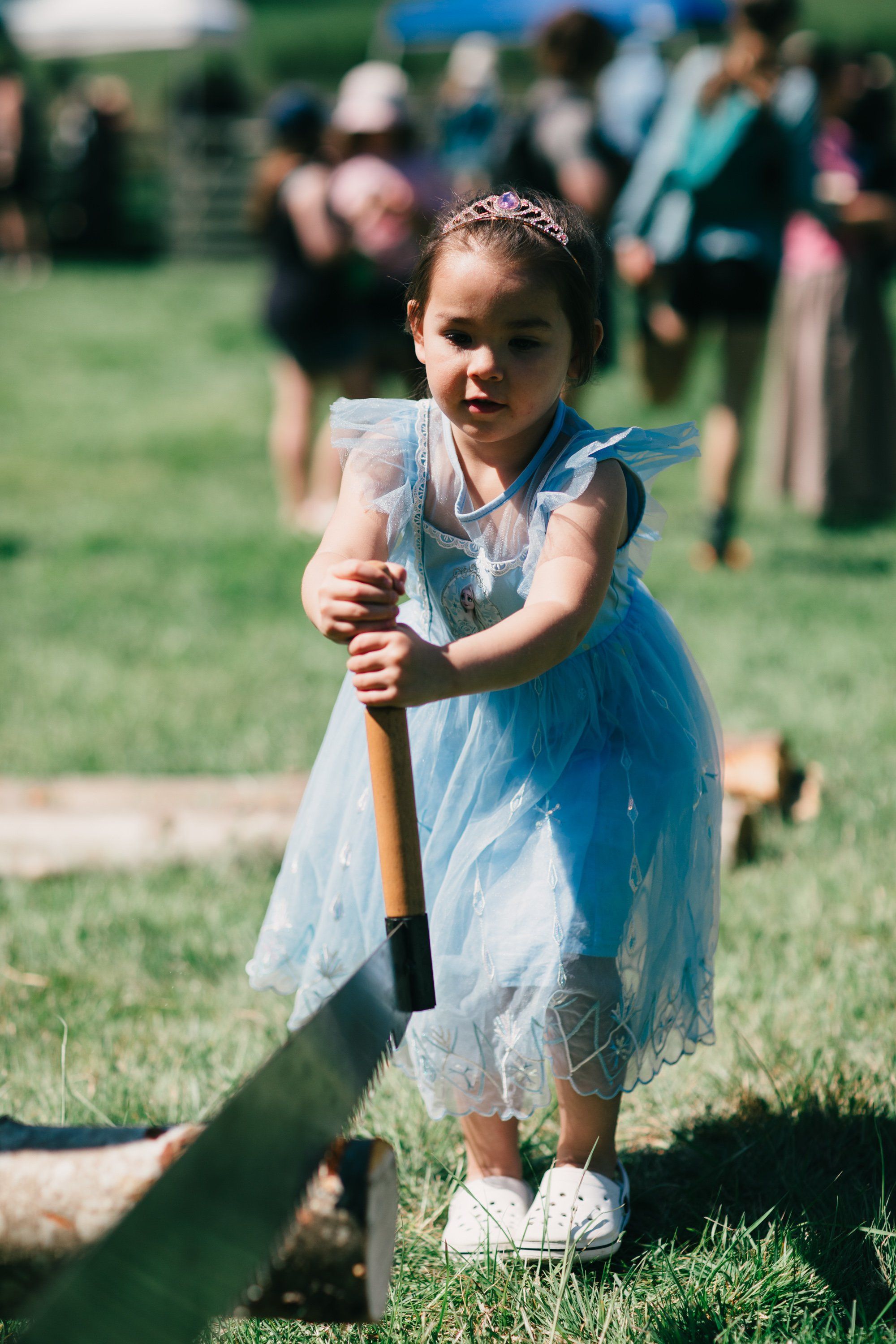 Young girl in blue tulle dress holding wooden rake in sunny farm field, smiling at camera