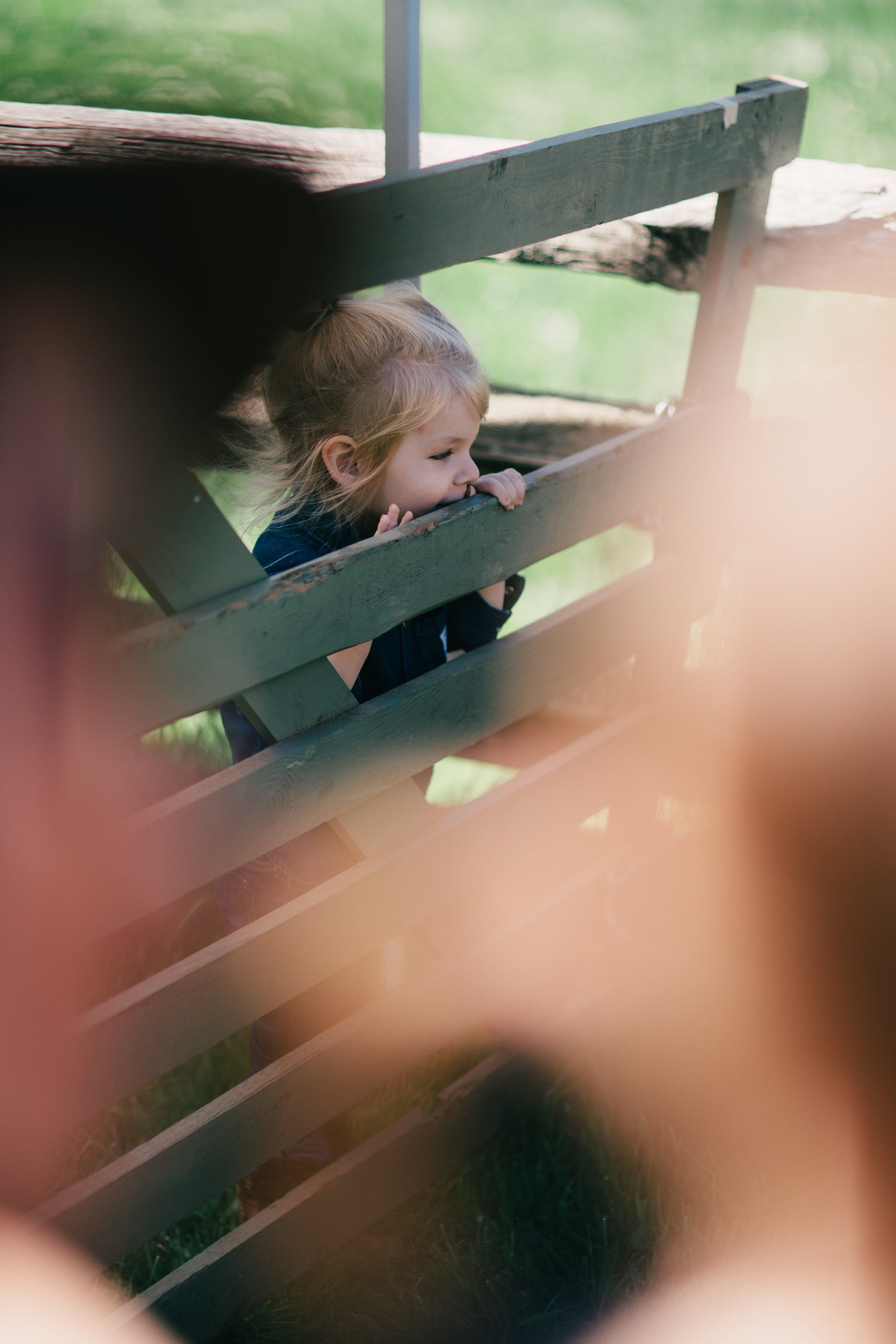 Toddler peering through weathered green farm fence rails with blurred foreground, soft natural light
