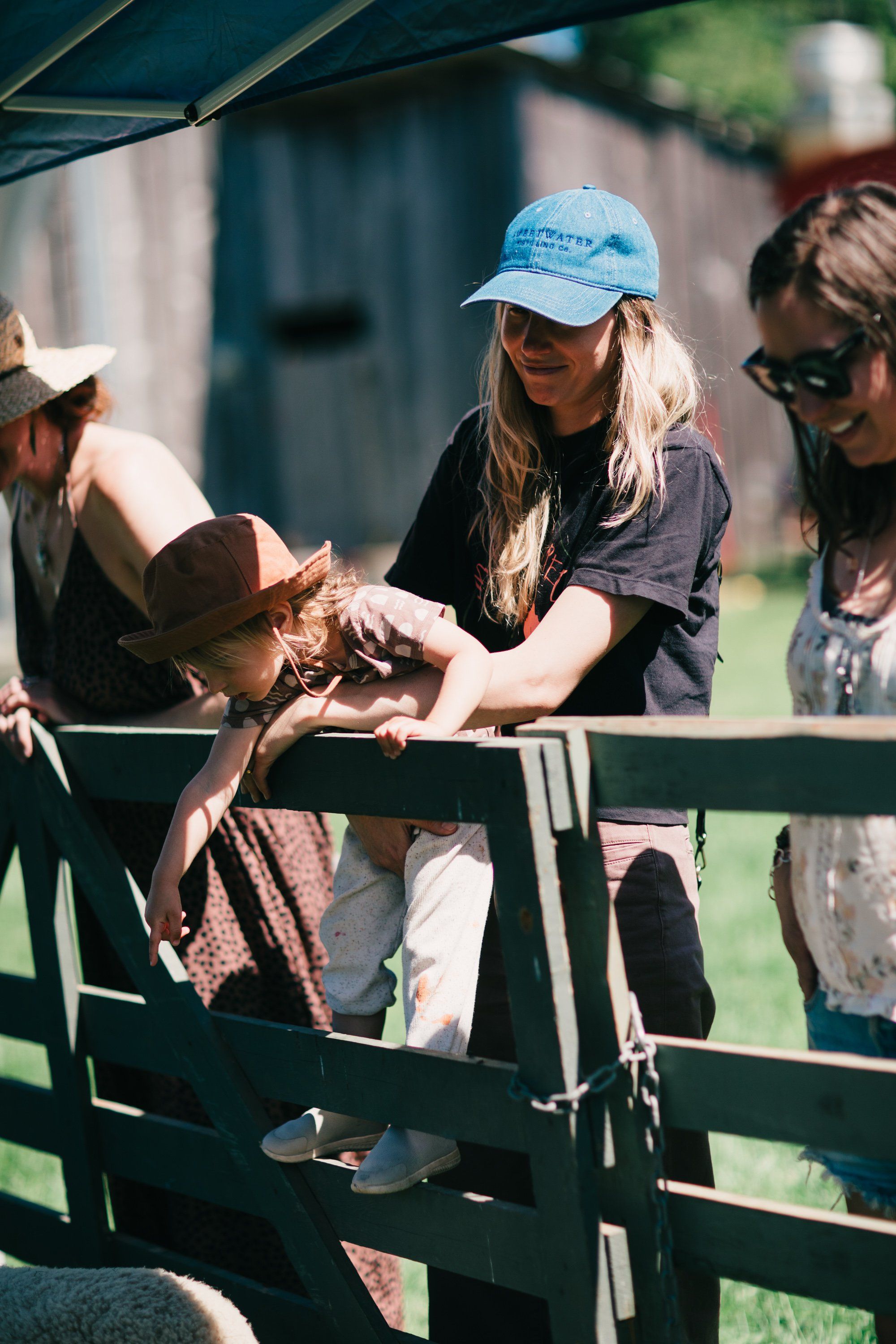 Woman in blue cap holds brown chicken at farm fence while others watch in dappled sunlight