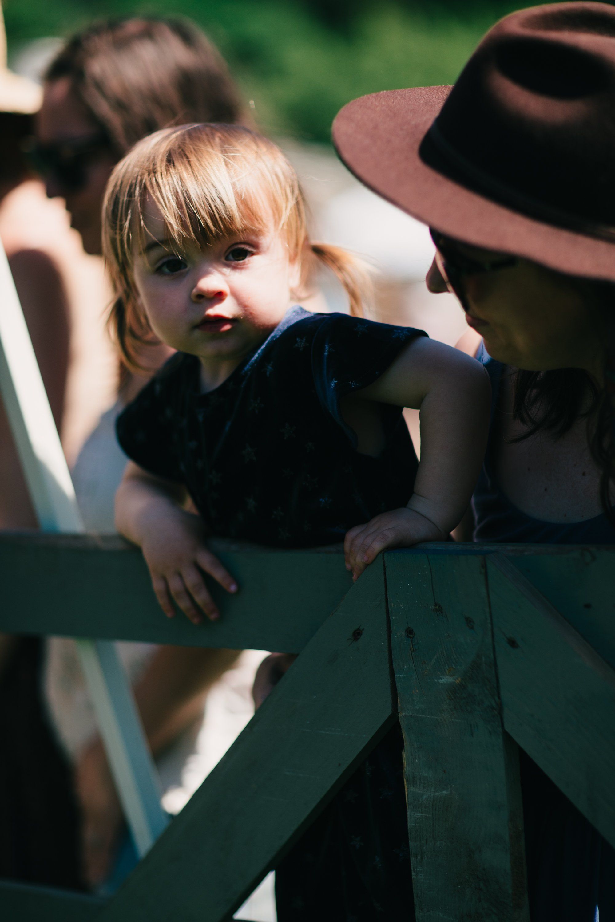 Toddler in dark clothing peering over a weathered green wooden fence, warm sunlight illuminating her face as others blur in the background