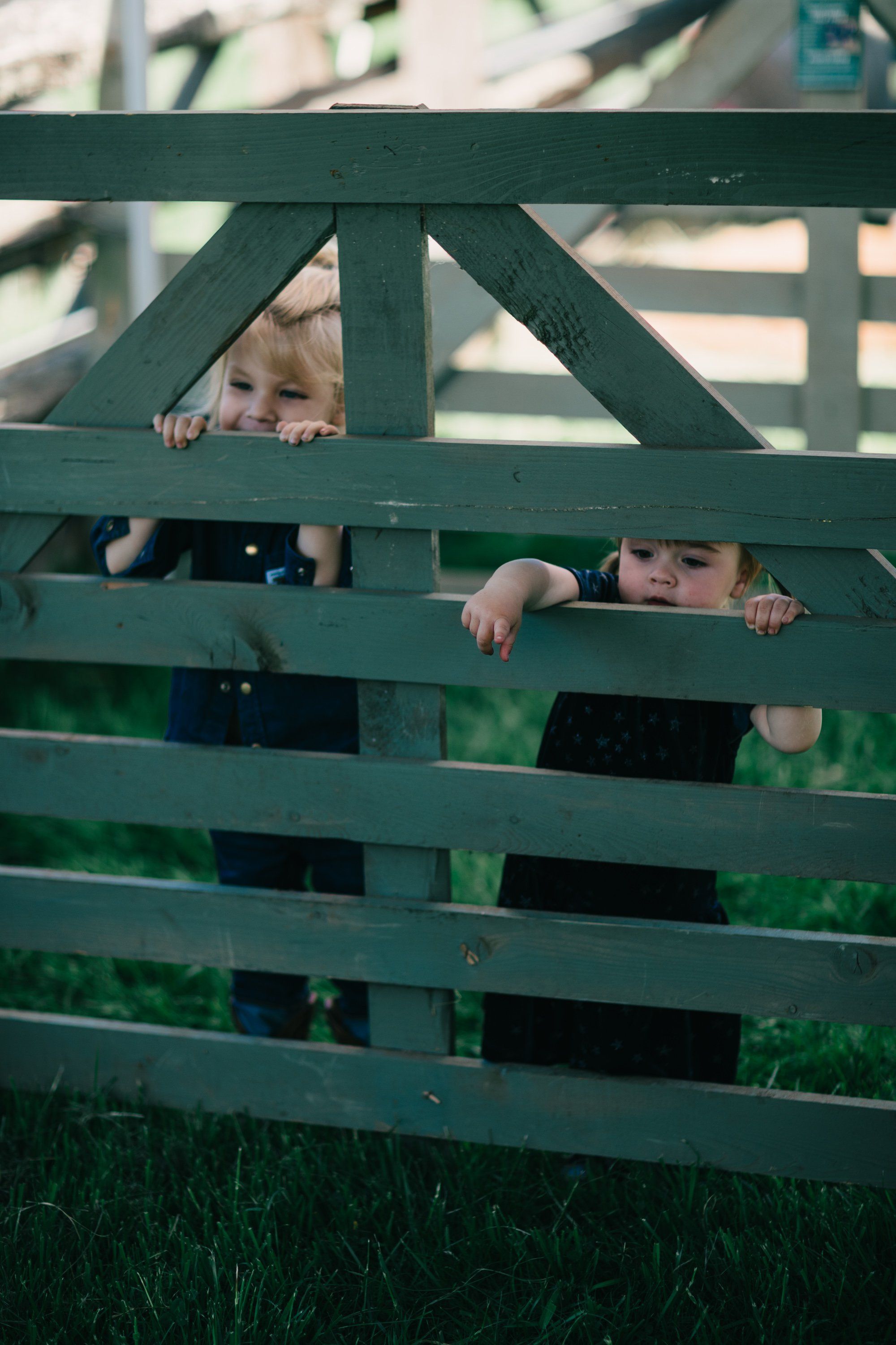 Two young children peek through horizontal green wooden fence slats in dappled sunlight, grass visible below
