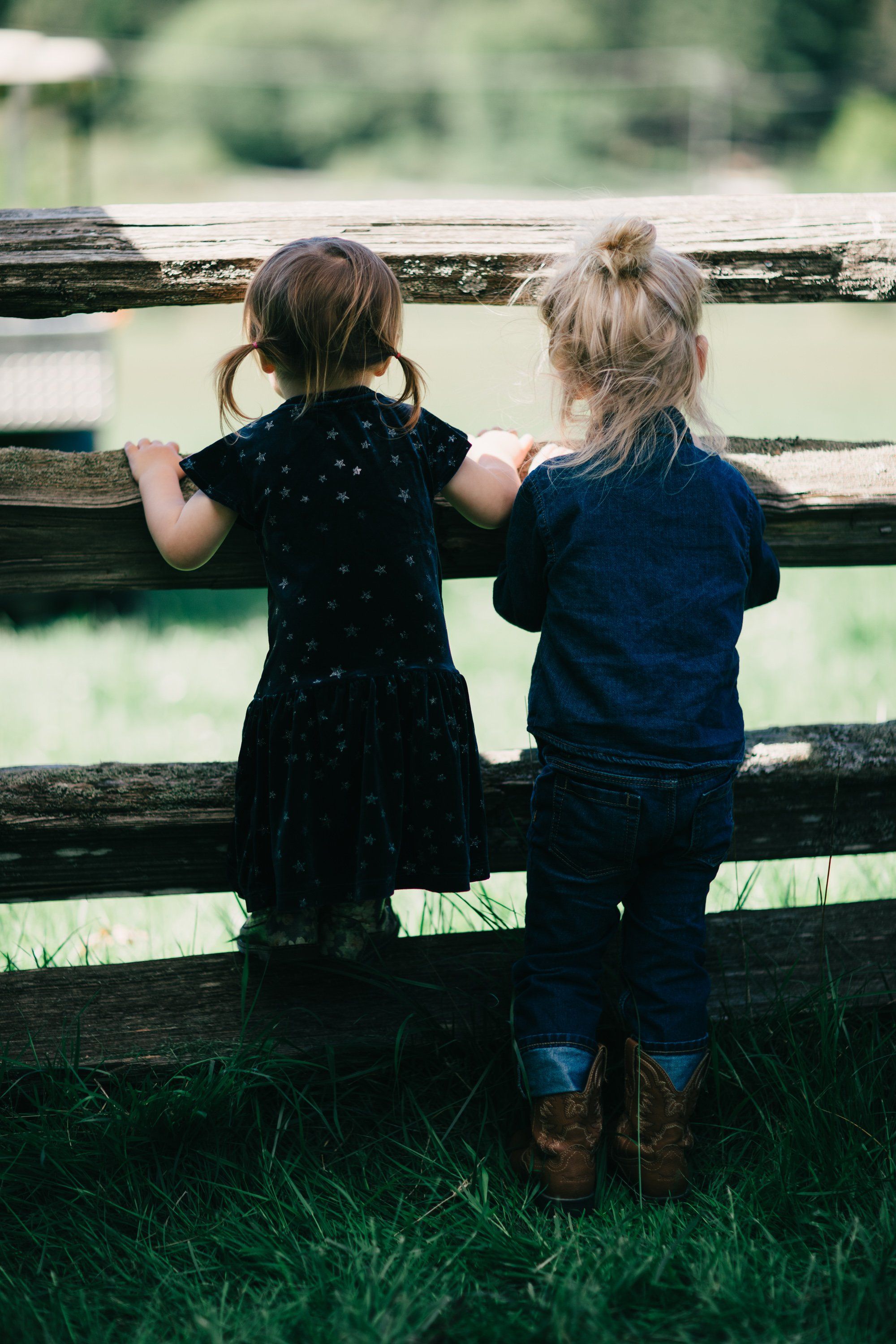 Two young girls lean against a weathered wooden fence overlooking green pasture, viewed from behind