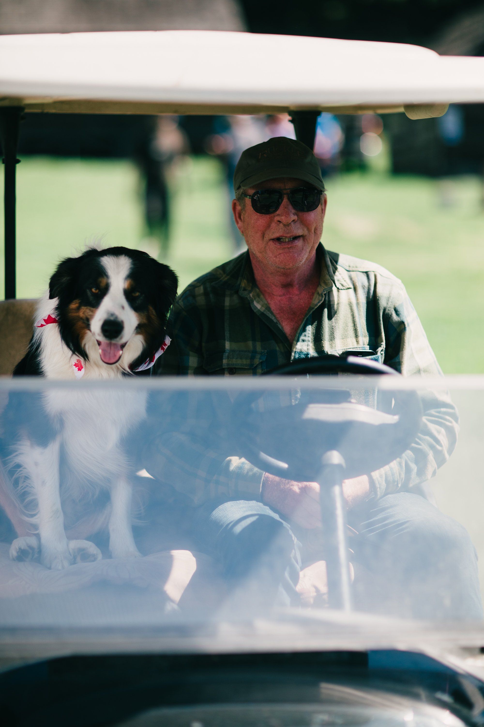Man in sunglasses and cap sits in golf cart with black and white border collie under white canopy on sunny farm field