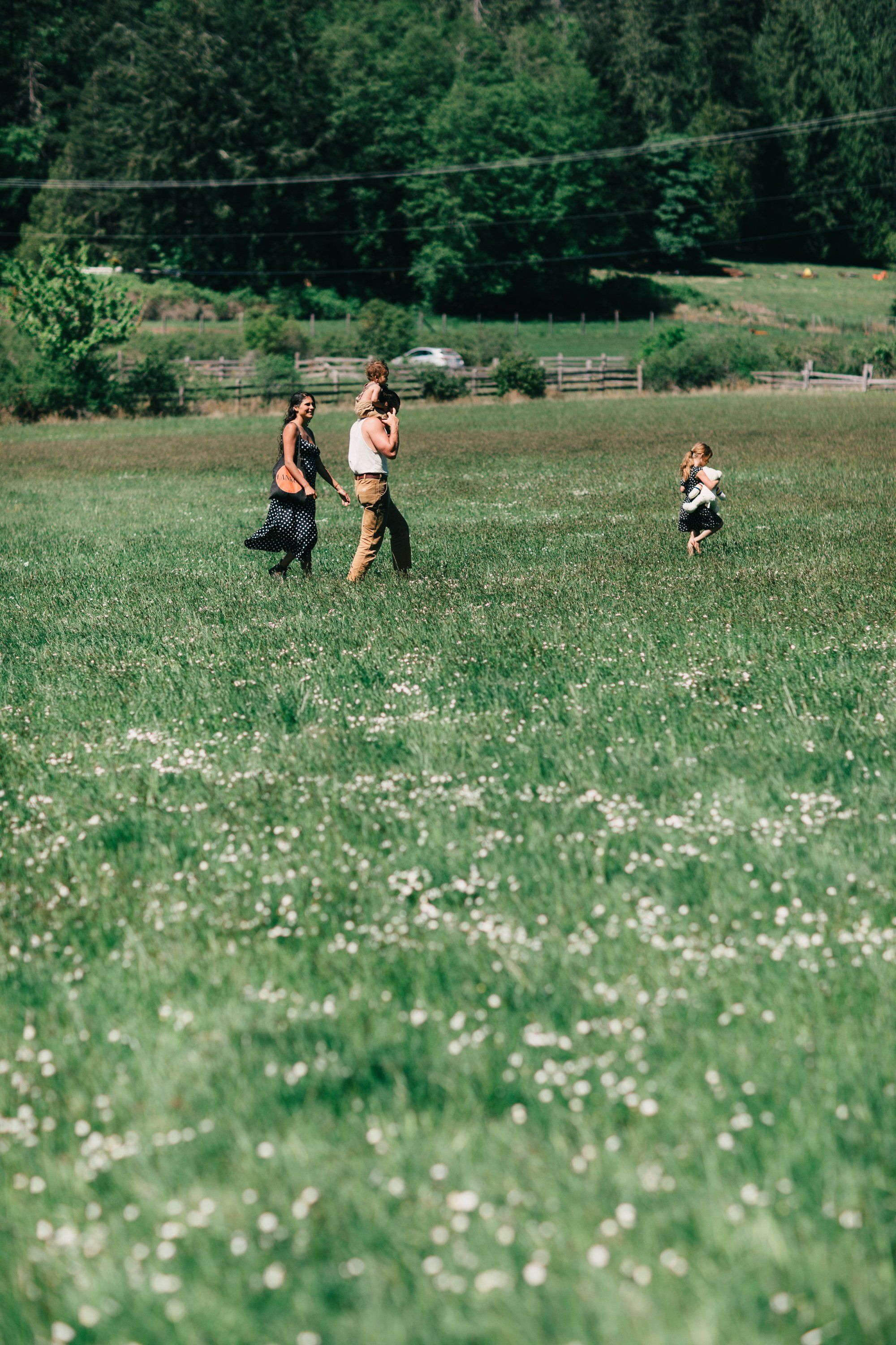Family walking through a wildflower meadow with forested hills and wooden fences beyond