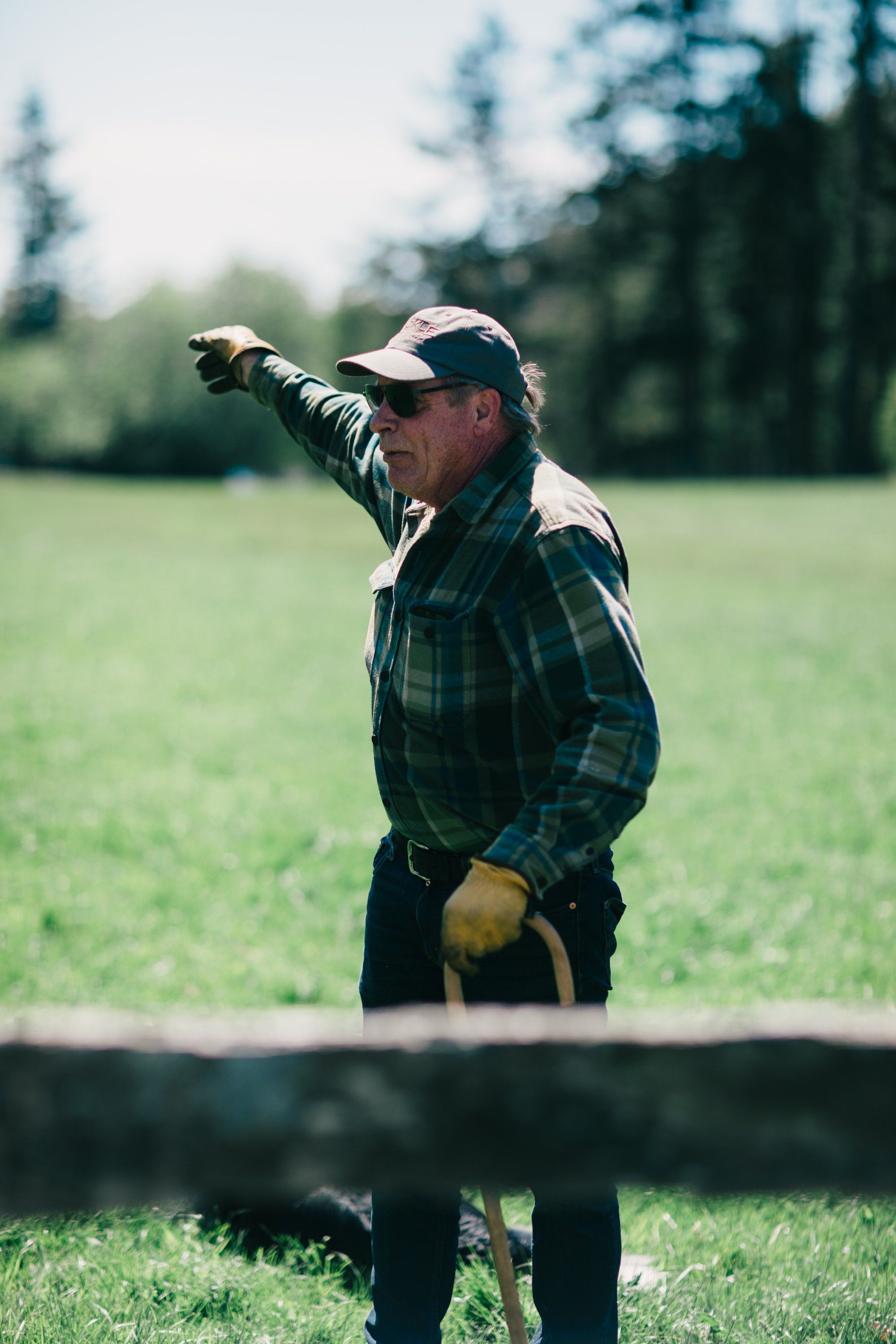 Farmer in plaid shirt points across green field with forested treeline beyond, standing at wooden fence in golden afternoon light