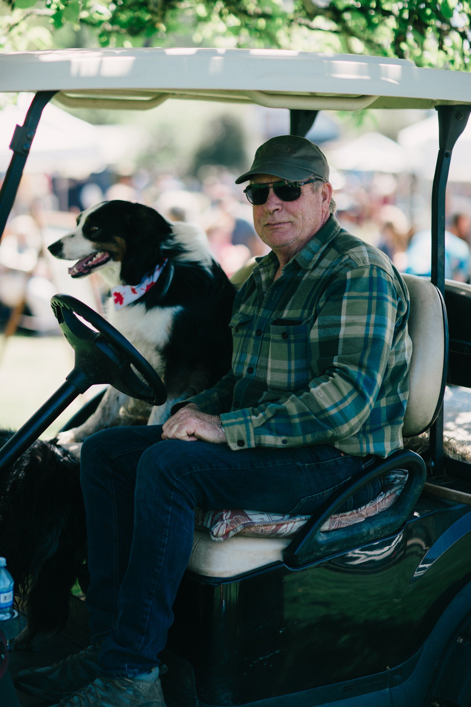 Man with dog at steering wheel of golf cart, wearing plaid shirt and sunglasses, blurred fairground in background