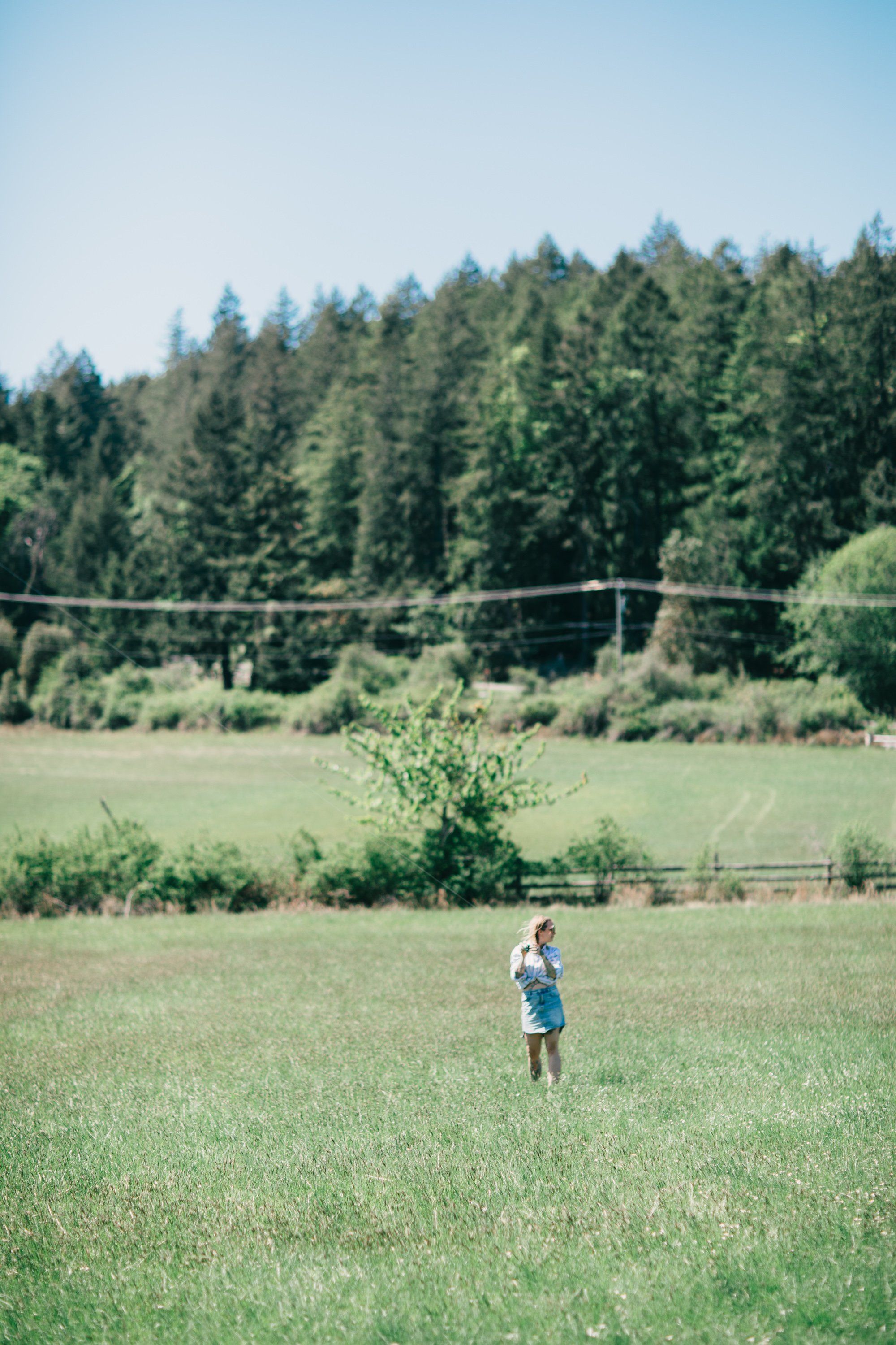 Child standing alone in a sunlit meadow with evergreen forest and wooden bridge in the background