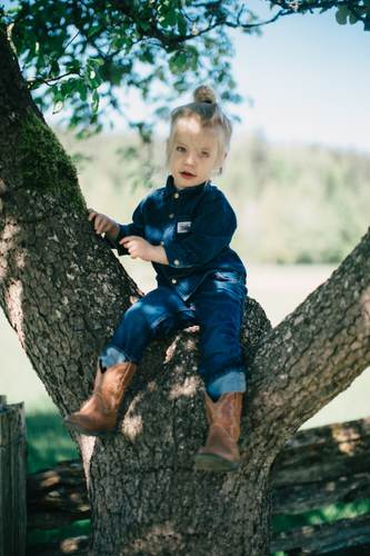 Barefoot toddler in denim sits nestled in tree branches, gazing thoughtfully toward camera with pastoral fields soft-focused behind