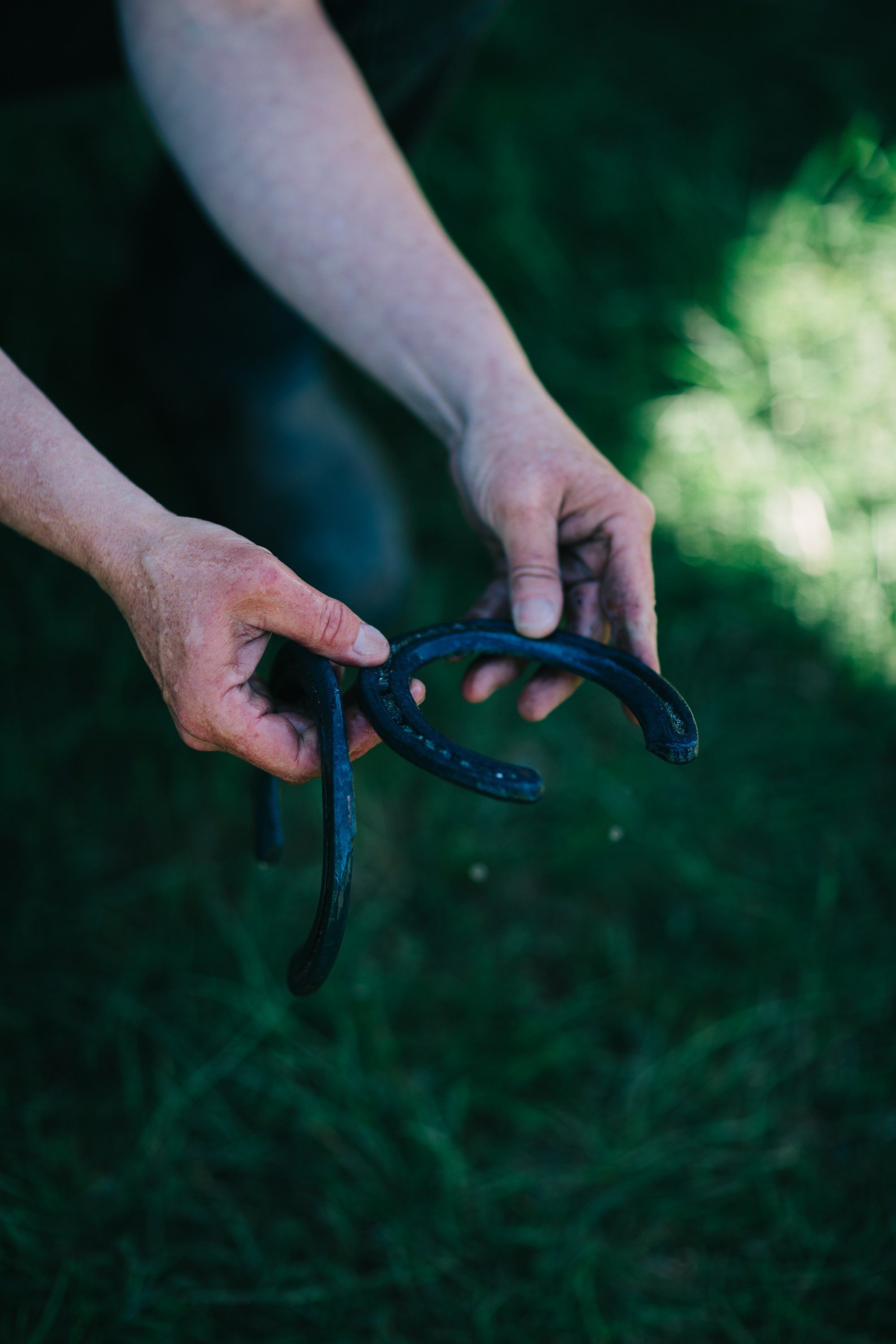 Hands gently cradle a dark newt against soft green foliage in dappled sunlight