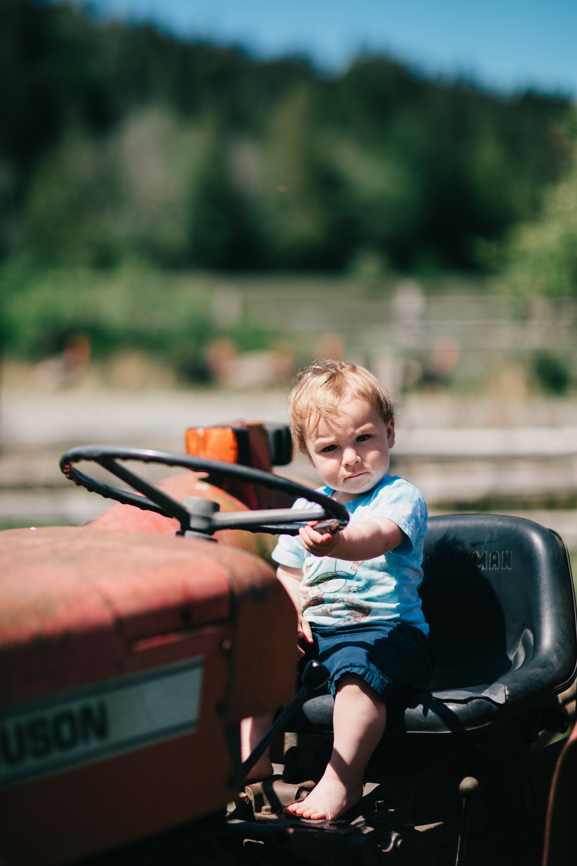 Toddler at tractor wheel with golden light, forested hillside behind, capturing childhood farm moments