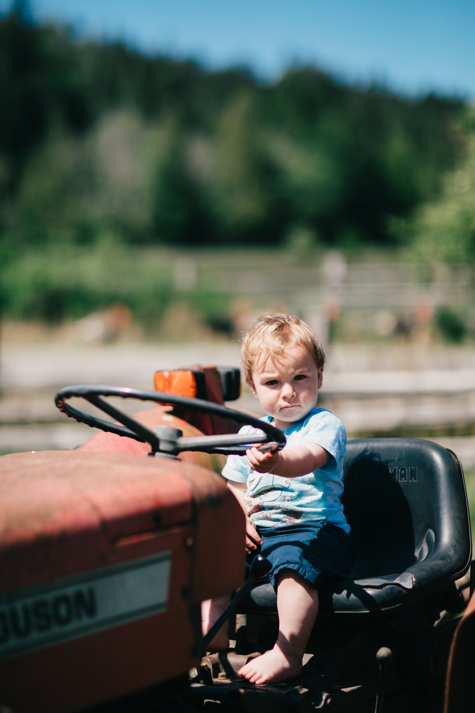 Blonde toddler grips the steering wheel of a red tractor in bright sunlight, with forested hills and farmland behind