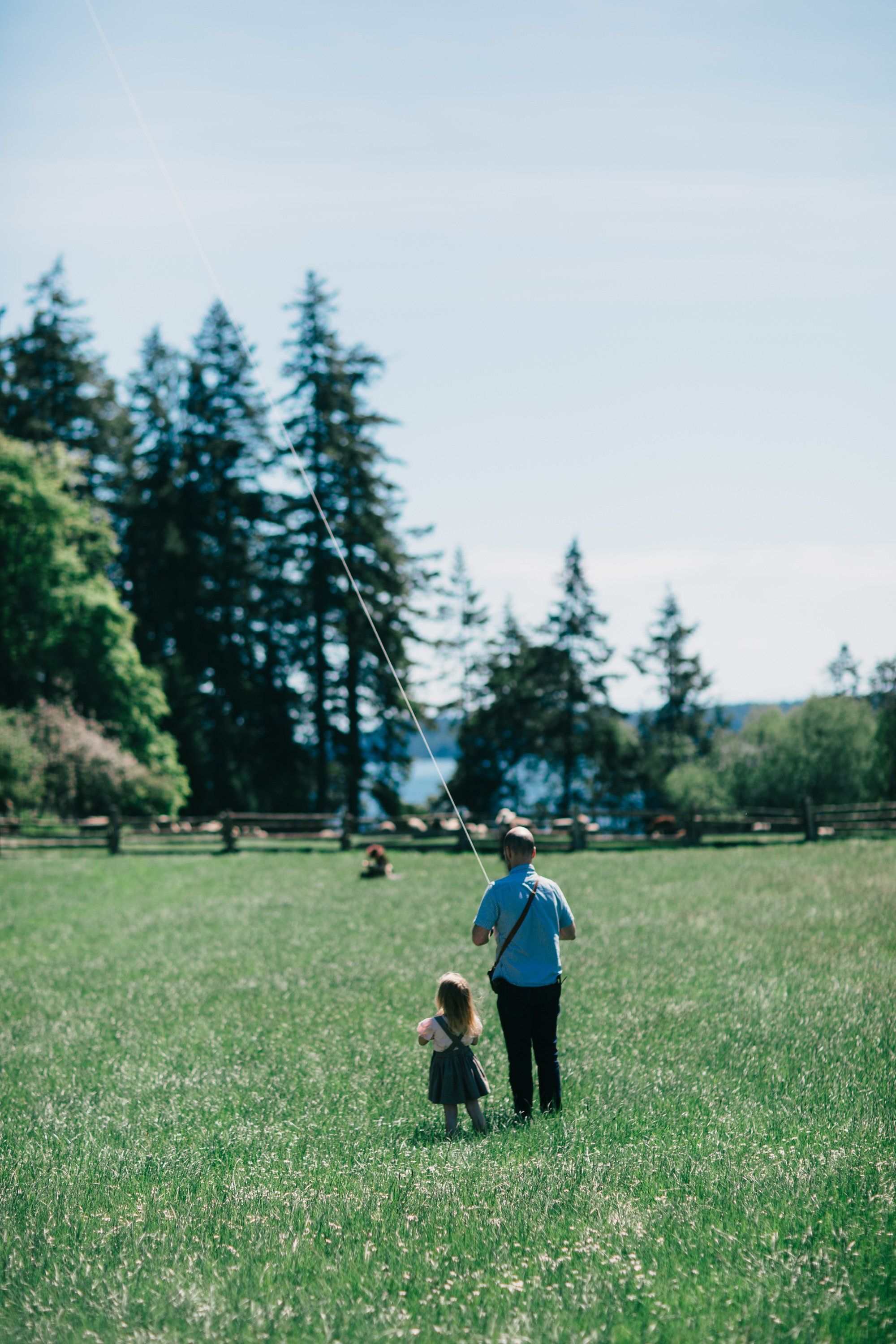 Adult and child standing in a sunlit grassy field with tall evergreen trees and distant hills under a clear blue sky
