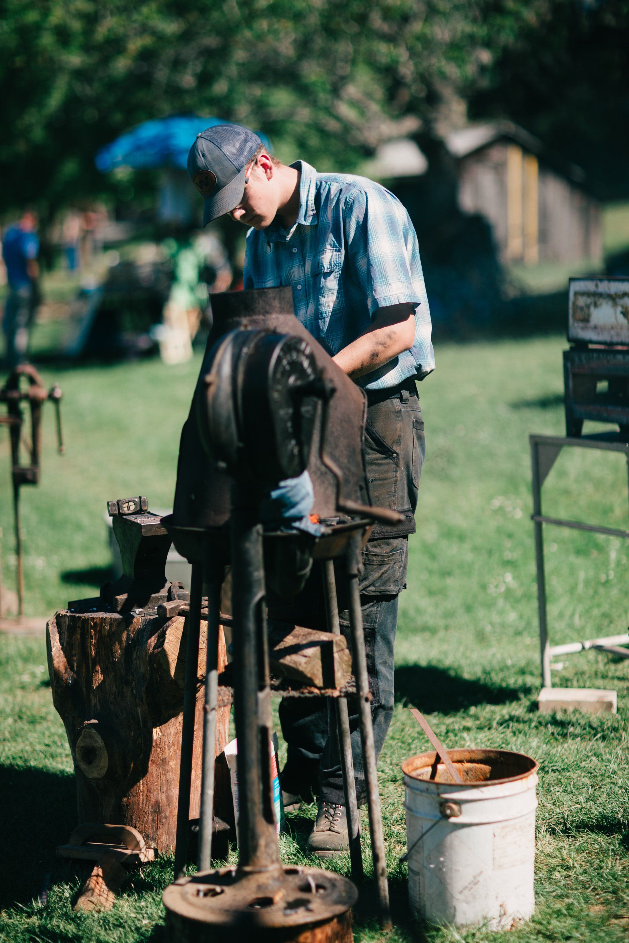 Farrier in cap and work apron shoes a dark horse at Ruckle Farm, tools and bucket nearby on sunny grass