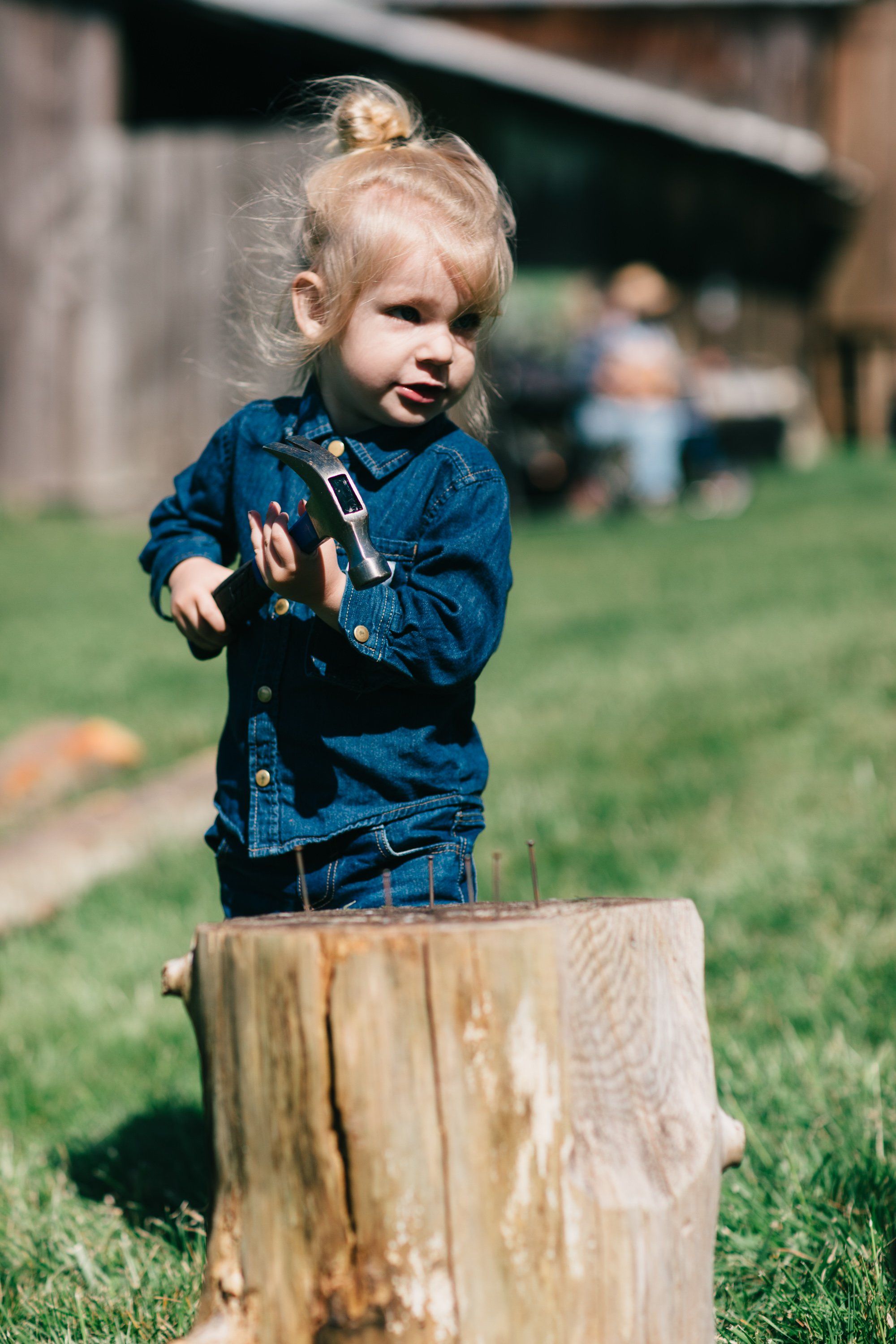 Blonde toddler in denim jacket smiles while standing on a wooden stump in a sunlit farm field