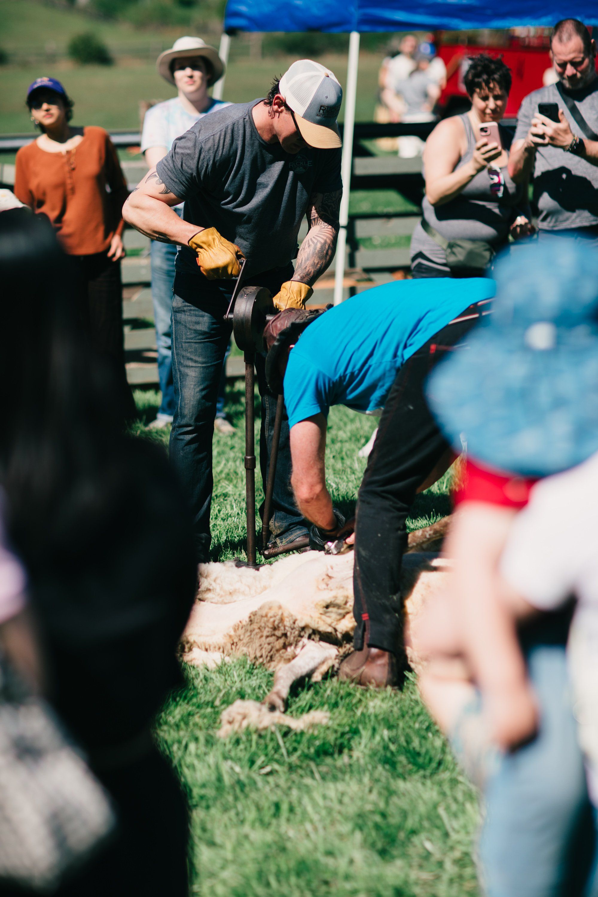 Farmer in blue shirt bends to dig soil while onlookers gather under summer sun at a rural farm event