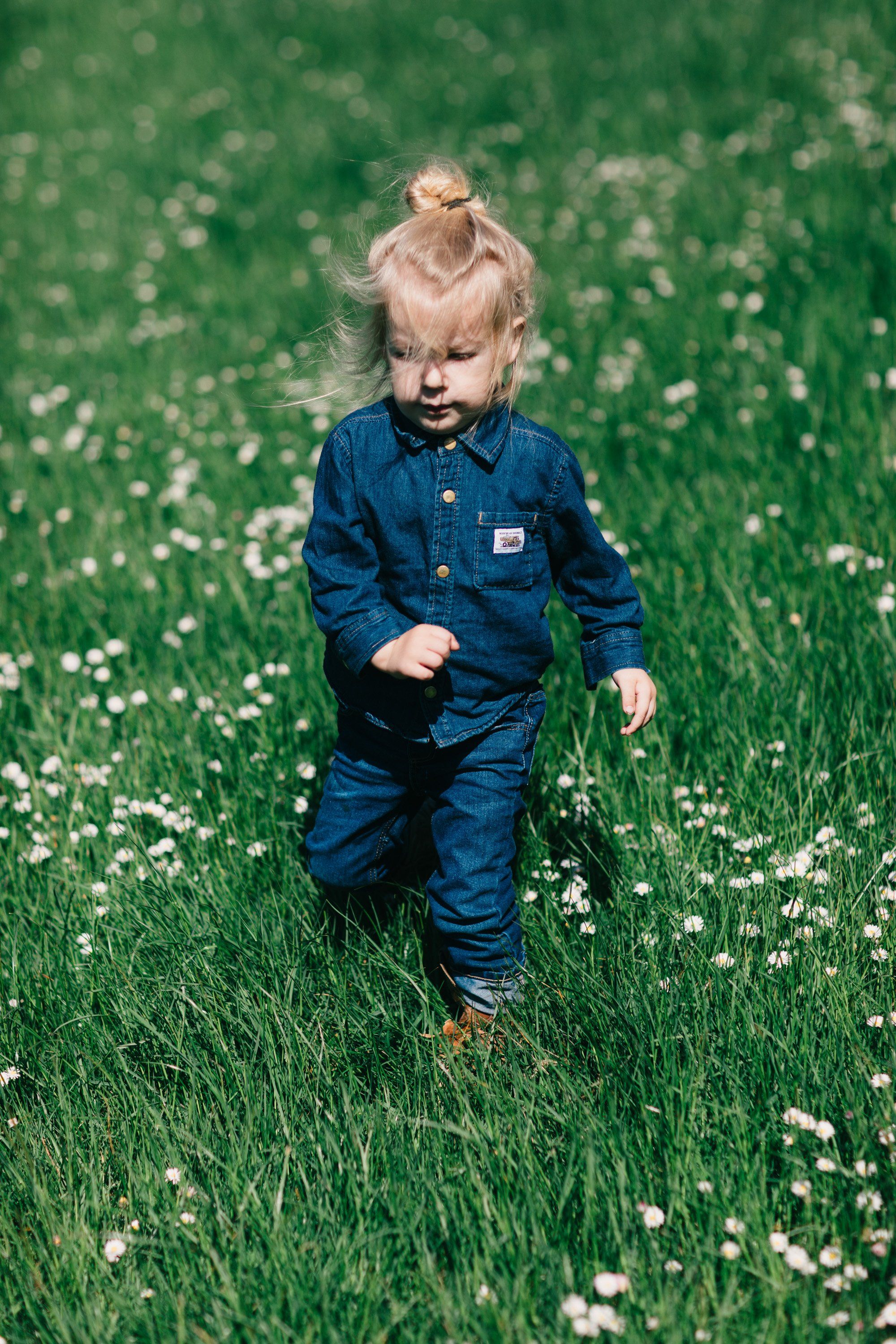 Toddler in blue denim coveralls running through a wildflower meadow dotted with white flowers on a sunny day