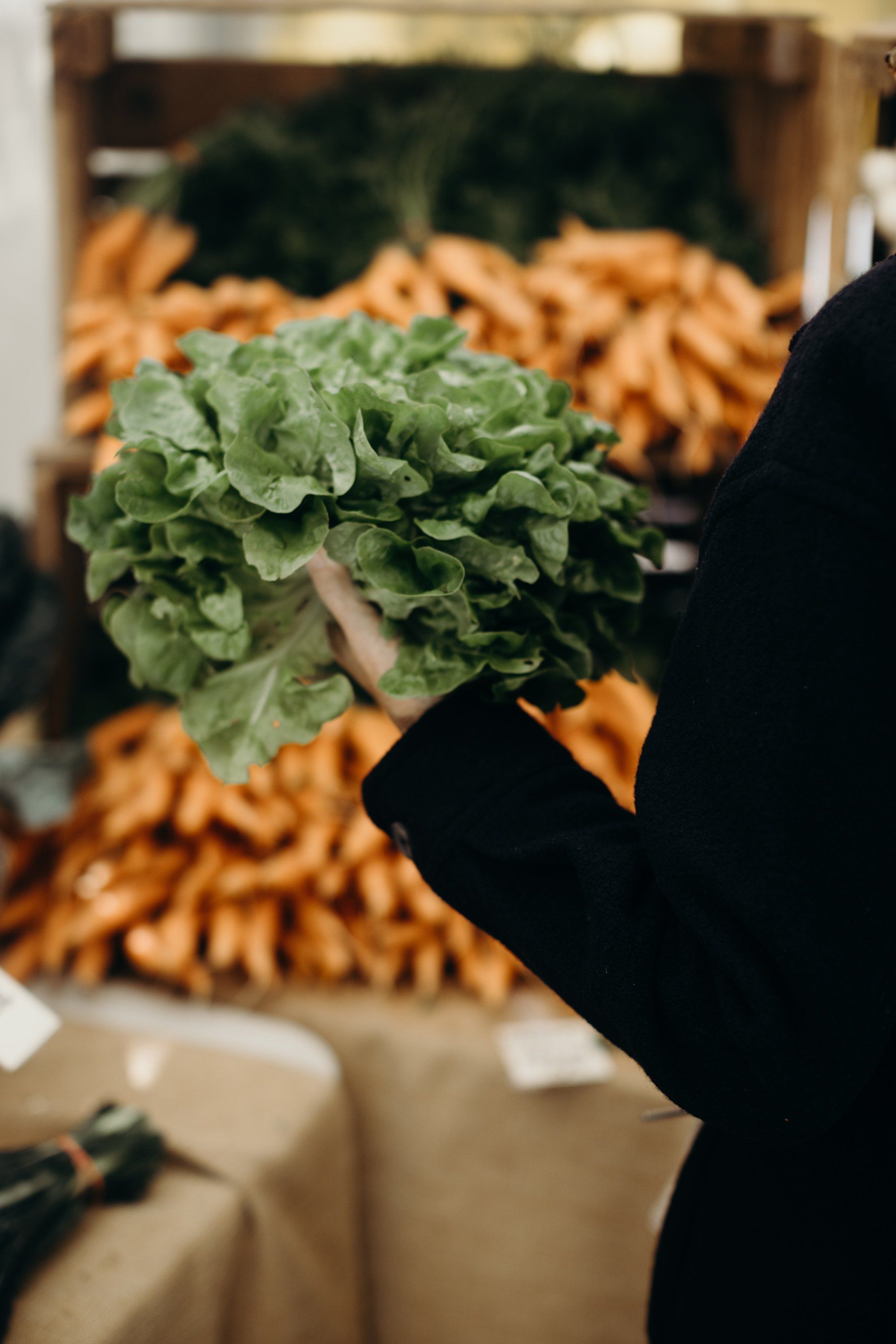 Hand holding fresh leafy greens at farmers market with golden carrots blurred in background