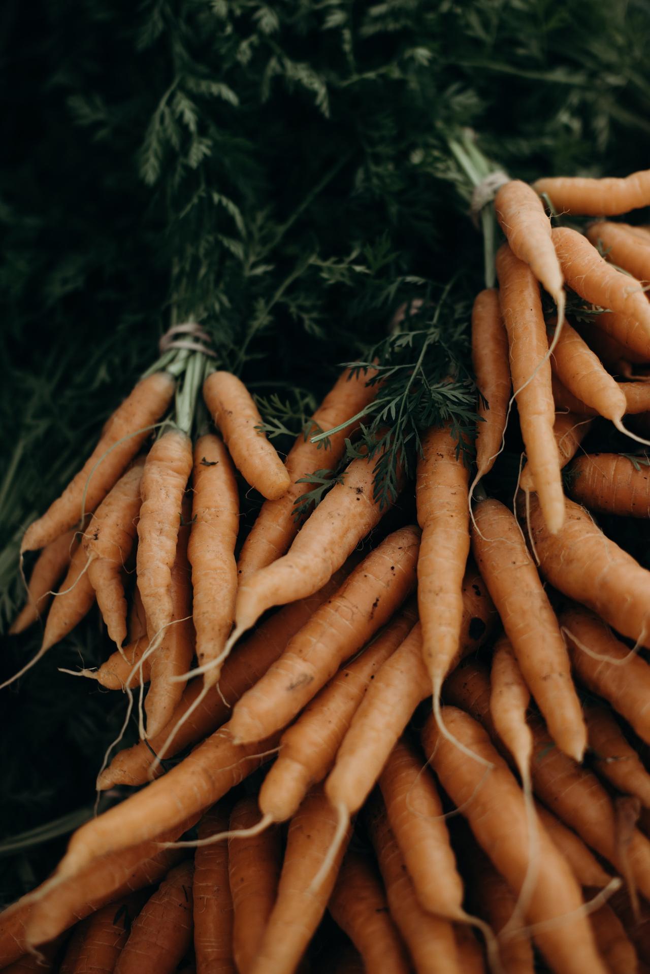 Fresh carrots bundled with green tops at Salt Spring Island's Tuesday Farmers Market, soil still clinging to the roots