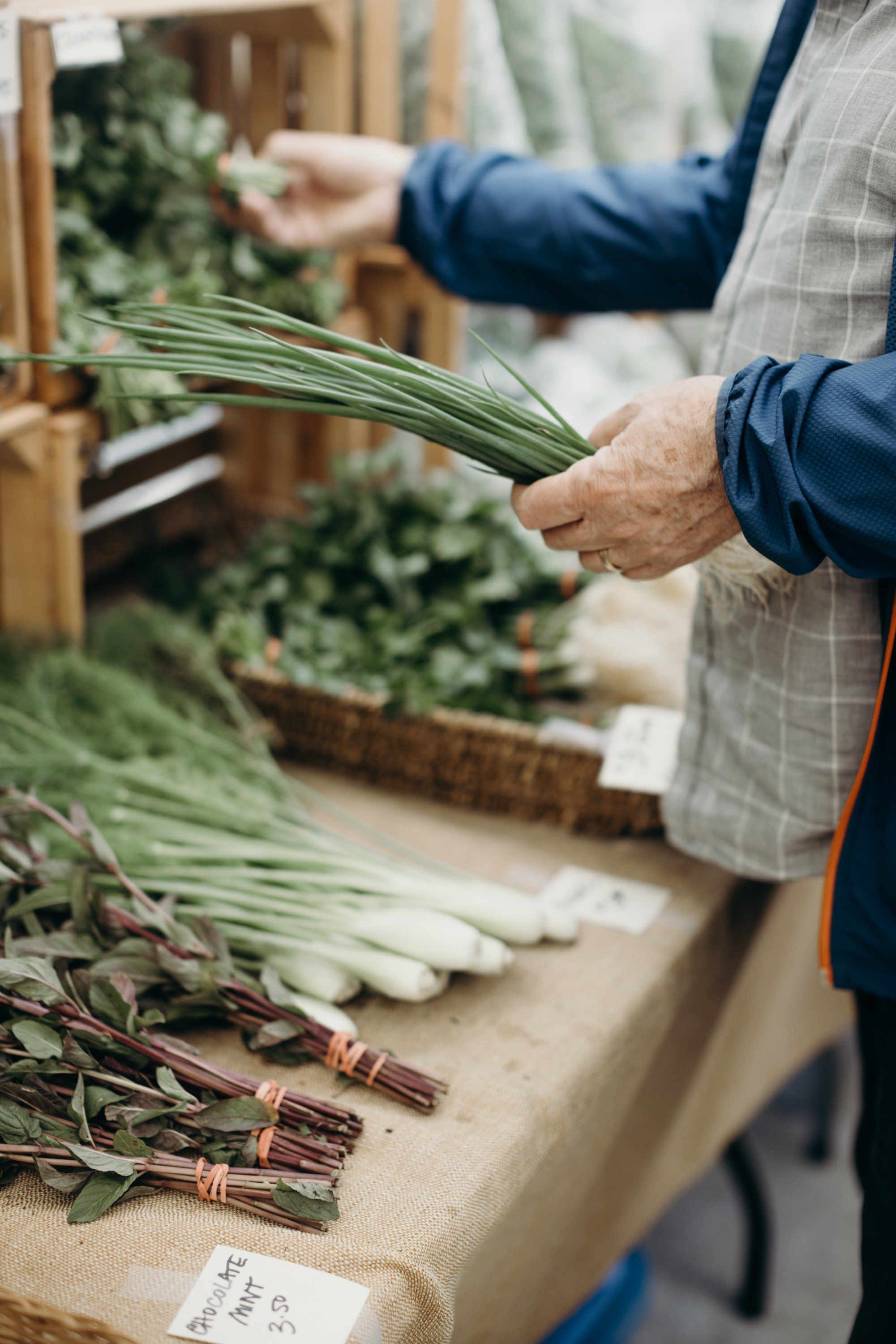 Farmer's hands bundling fresh green onions at a market stand, with harvested vegetables arranged on kraft paper