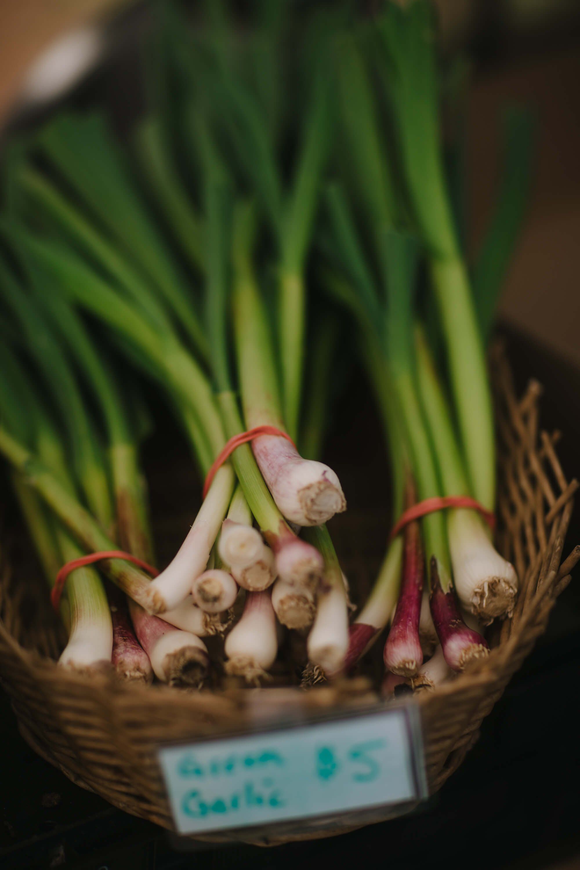 Fresh garlic bundles with green stems and price label displayed in wicker basket at farmers market