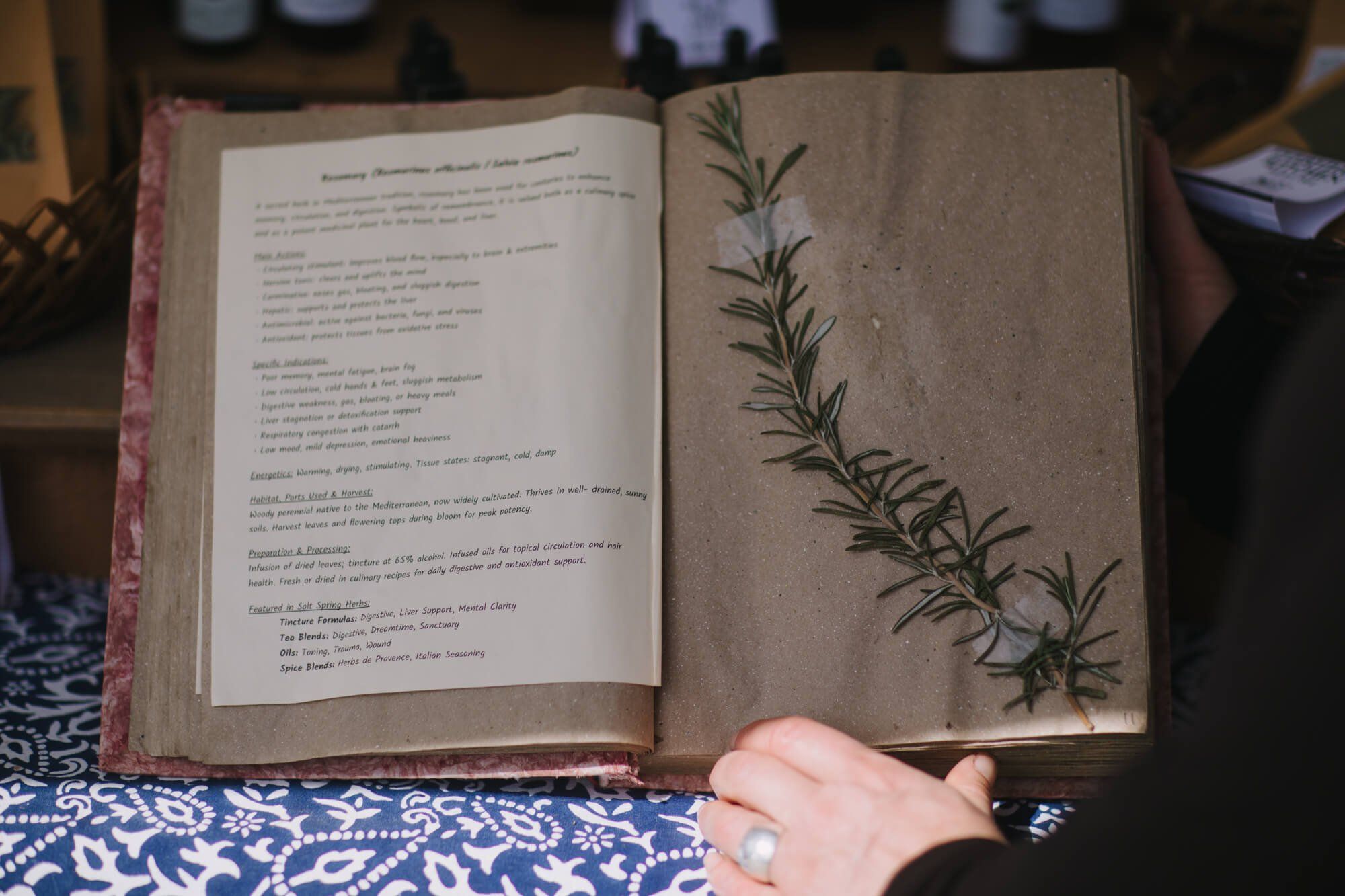 Open book with pressed botanical specimen on right page, held by hands with ring, resting on patterned blue fabric