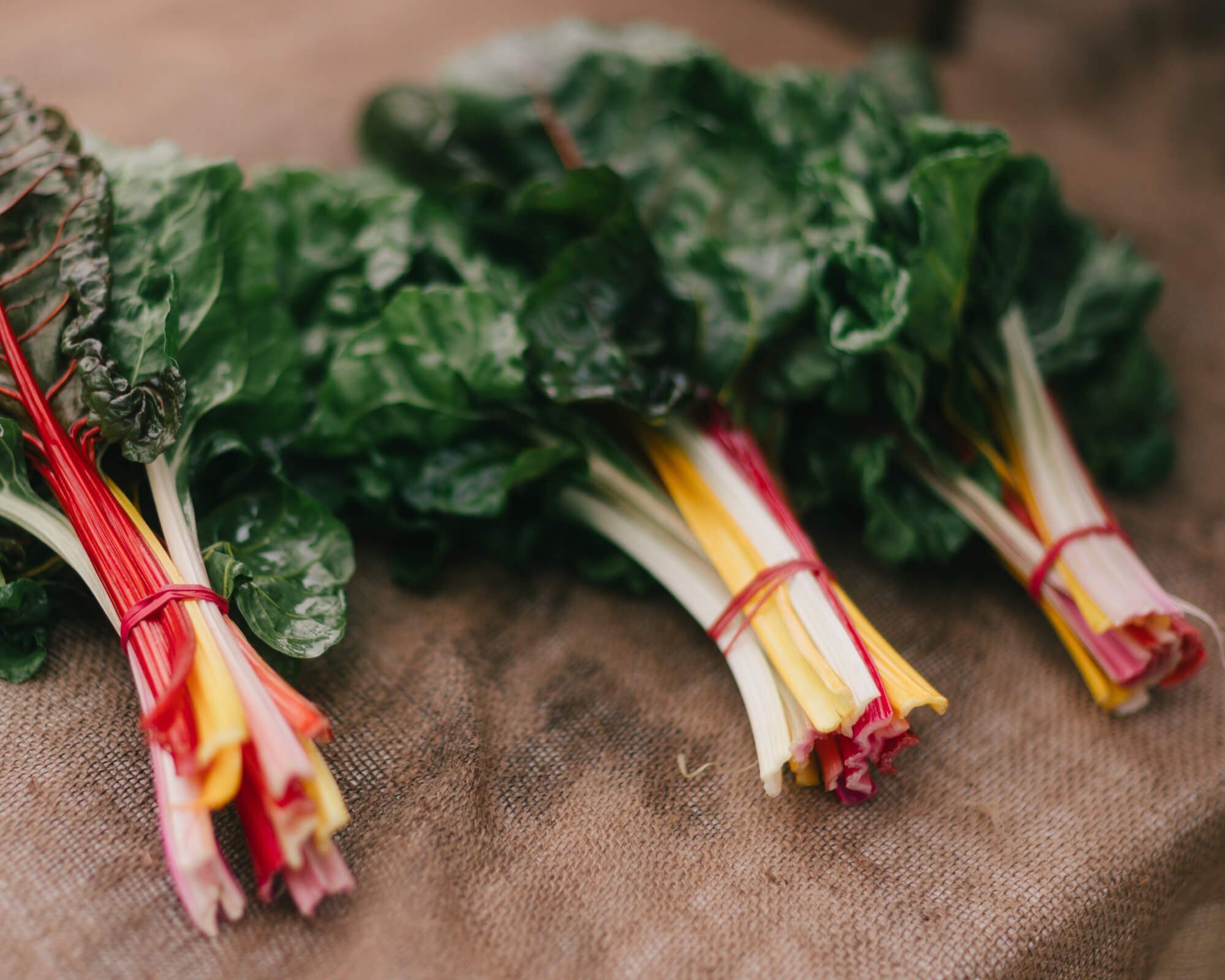 Fresh rainbow chard bundles tied with red twine rest on linen at the farmers market