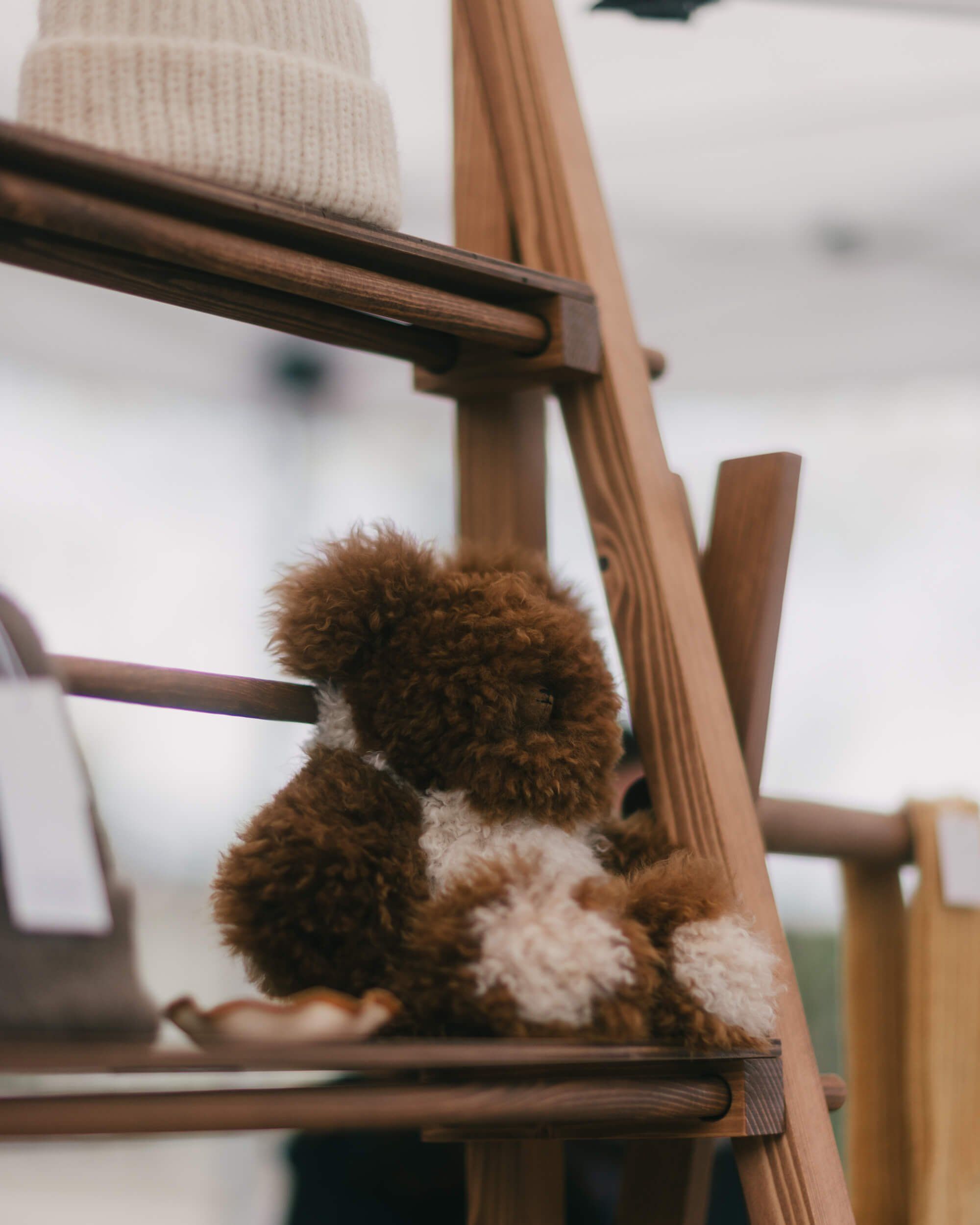 Brown teddy bear with cream belly sitting on wooden ladder rung, soft natural light, intimate moment