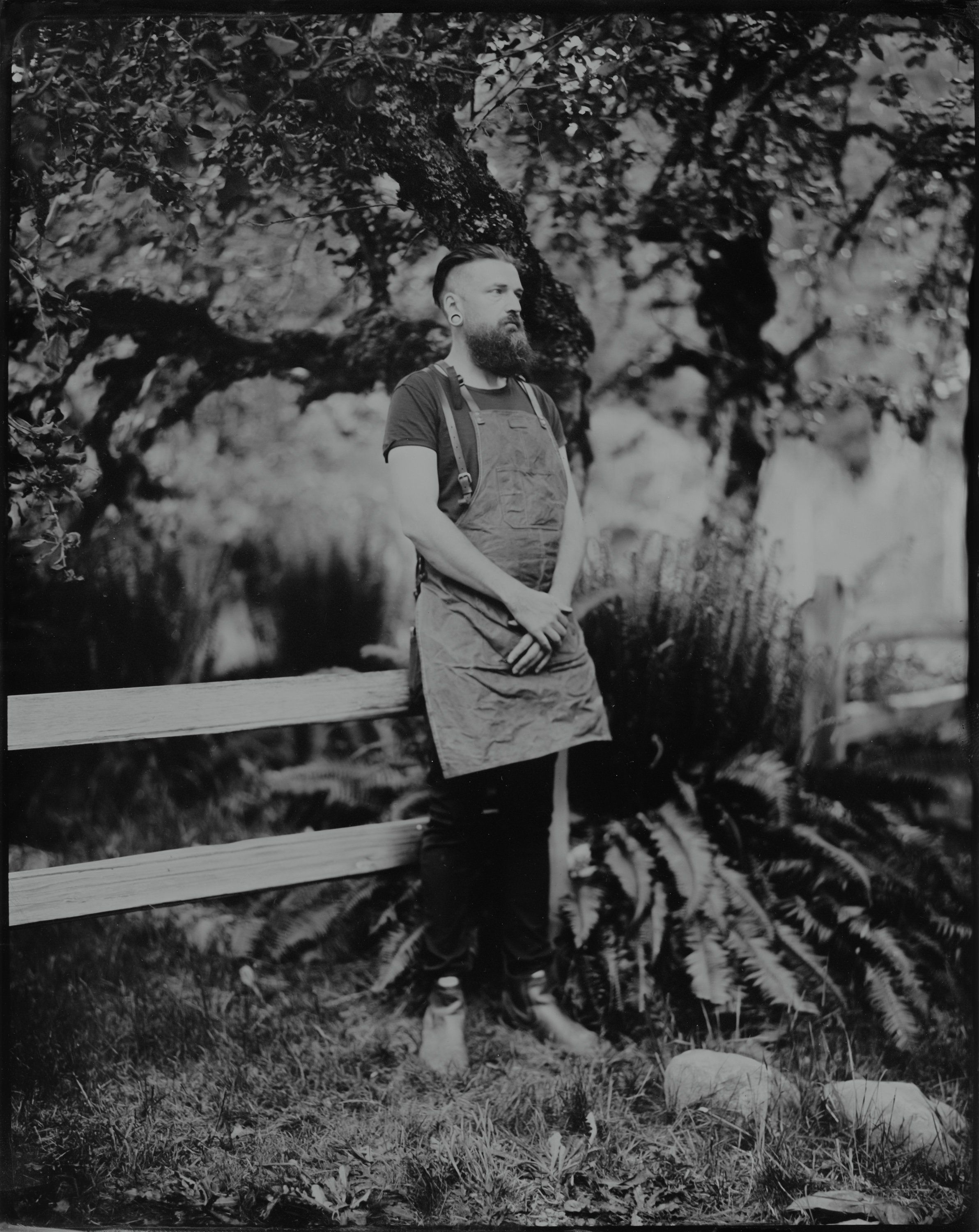 Bearded man in casual shirt gazes upward beneath gnarled tree branches in dappled black and white light