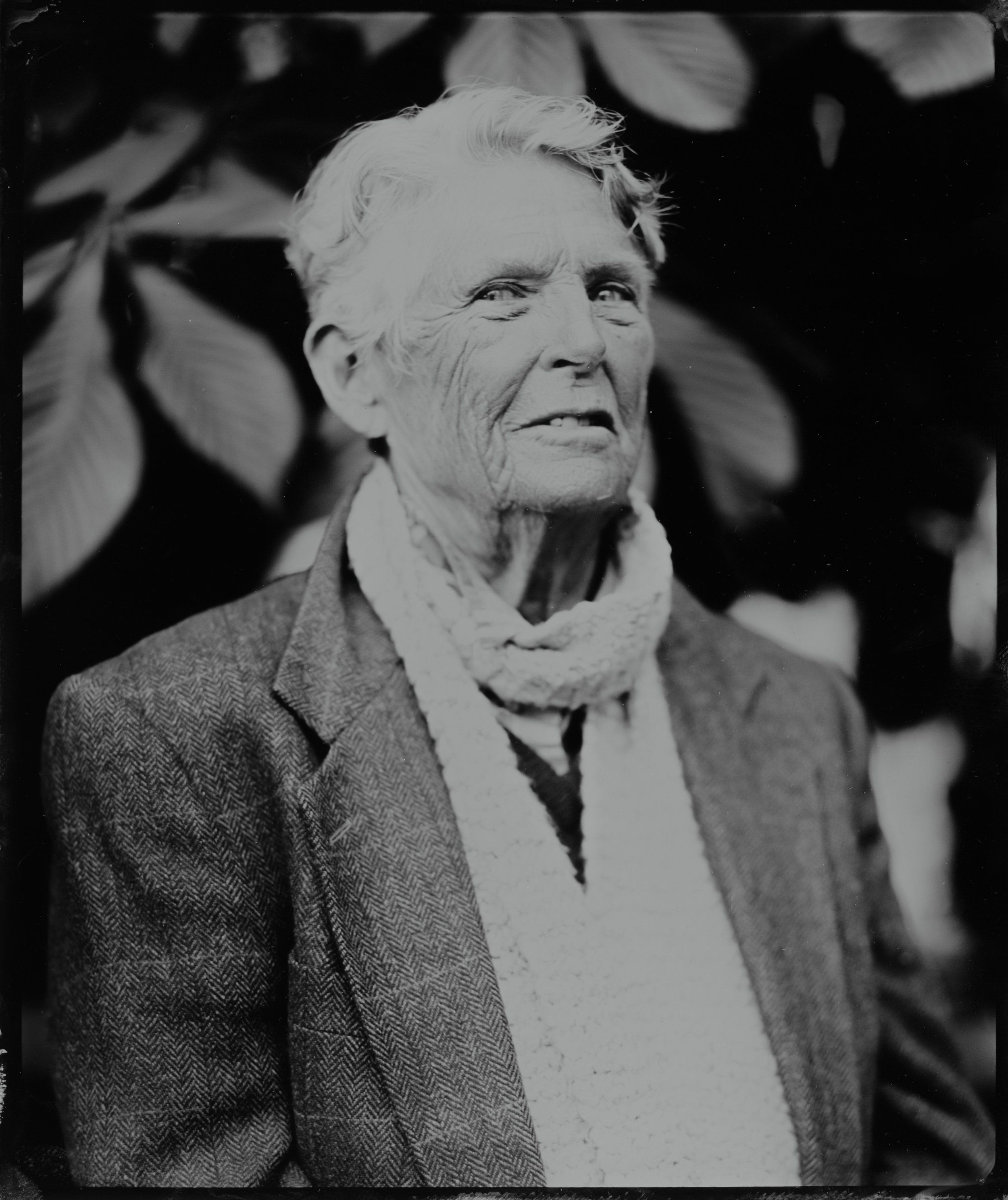 Elderly man in cardigan and light scarf gazes thoughtfully upward, dappled leaf shadows cast across dark background