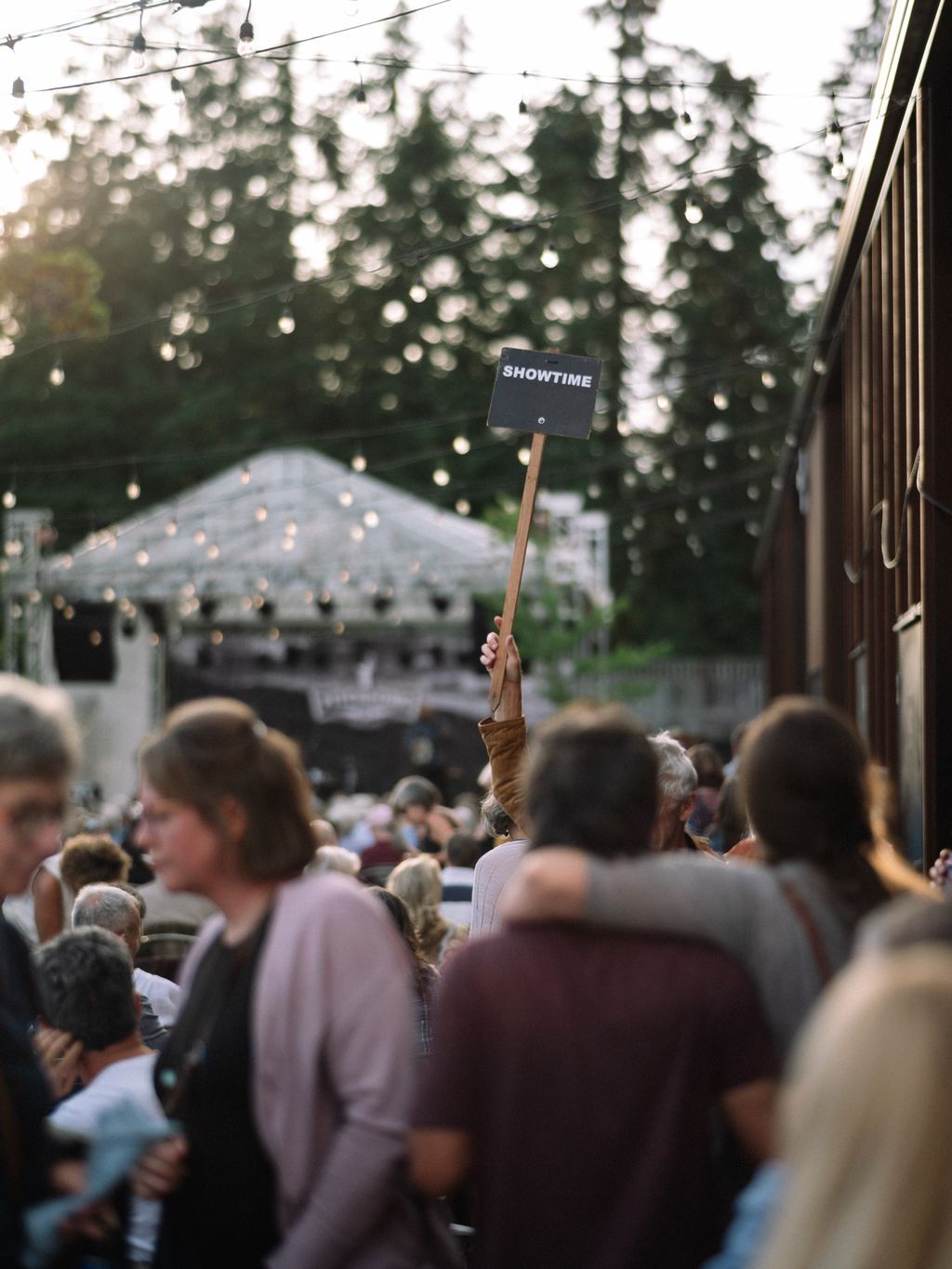 Hand holding "Showtime" sign above crowd at outdoor event under string lights and evergreen trees on Salt Spring Island